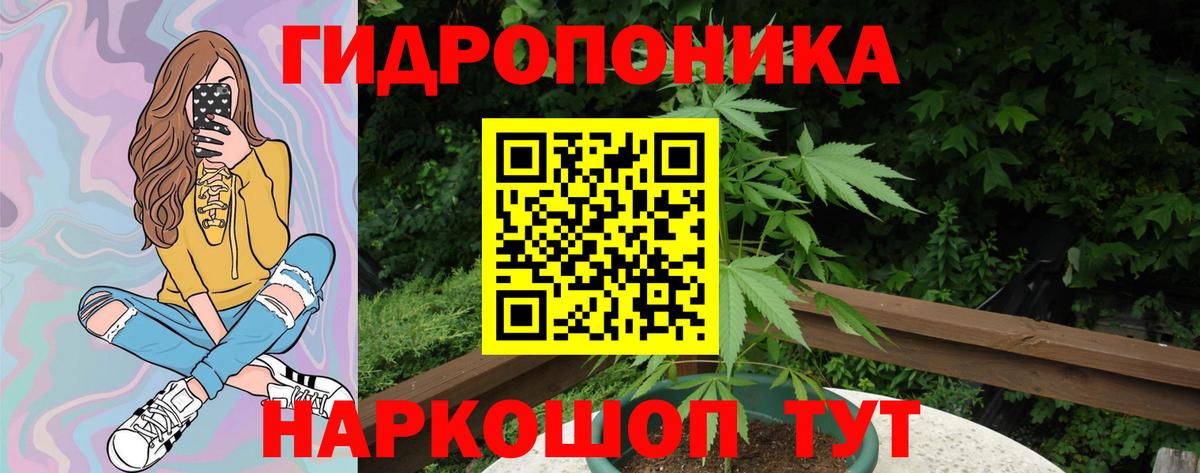 МАРИХУАНА ГИДРОПОН  Вход с VPN  Бошки марихуана VHQ  Краснознаменск  Бошки Шишки семена 
